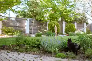 Comment désherber sans herbicide ?