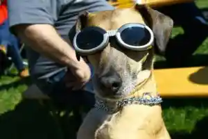 Comment bien choisir des lunettes de soleil ?