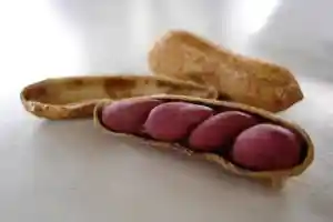 Découvrez le vrai du faux des aliments allergènes