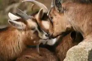 Comment se réconcilier après une dispute ?
