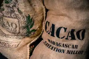 Le pouvoir du commerce équitable