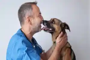 Comment bien préparer son animal avant une visite chez le vétérinaire ?
