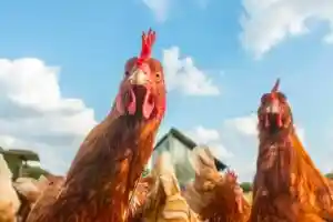 3+ Magasins Bio Près De Chéry-Lès-Pouilly (02000) – Avis & Téléphone