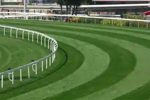 Les plus beaux hippodromes de France à visiter